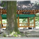 삼성정