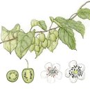 이소영농장 이미지