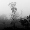 해변연가 이미지