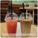 육림호카페 | 포천 국립수목원 육림호 카페 통나무집에서 즐기는 자연뷰 한컷