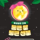 K비젼안경콘택트 이미지