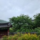 (주)단비 네이버블로그