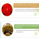 충북대학교사범대학부설고등학교 이미지