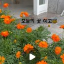 엘제이플라워샵 이미지