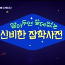 신비카 이미지