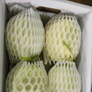 채원농장 이미지