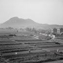 행정용 14 이미지