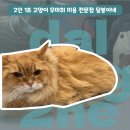 달봉이네 대연점 이미지