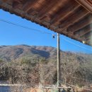 솔향민박 이미지