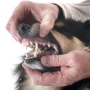 신도림동물병원 이미지