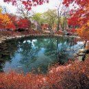 만장하우스 이미지