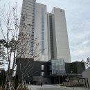 지에스25 역북트윈점 | 강릉 신라모노그램 호텔 디럭스 트윈 가든 오션뷰 내돈내산