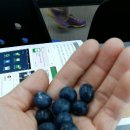 고리봉농장 이미지