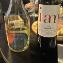 와인 소믈리에[A반] | 2030 잠실 와인파티 <어바웃와인> 방문 후기