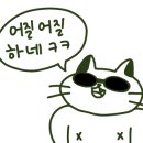 카페리사 이미지