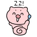 제주유기농쌈밥촌(본점) 이미지