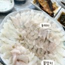 꼴이네일 | 속초 아바이마을 활어회센터 전주호｜꼴망치·놀래미 자연산 활어회 후기