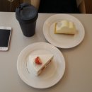 케이크둥둥 이미지