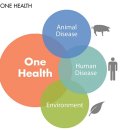 원-헬스 이미지