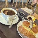 애견시선 이미지