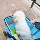 FM메디칼 이미지