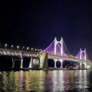 해바라기참치회 네이버블로그