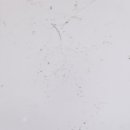 꽃피우개 이미지