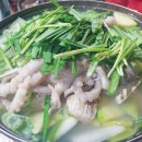 참나무조개구이 이미지
