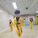 경희대석사경무태권도 이미지