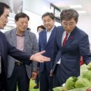 합천애 로컬푸드직매장 이미지