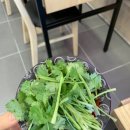 배스킨라빈스 미아삼거리점 이미지