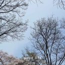 동촌6길 이미지