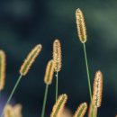 가온크리닝 이미지