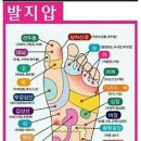 영광군정신건강복지센터 이미지