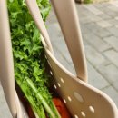 애니멀랜드 이미지