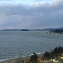 비체팰리스콘도 | 충남 보령 숙소 오션뷰 비체팰리스 36 이용후기