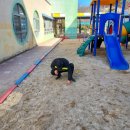 금남초등학교(병설) 이미지