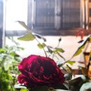 THE쉼, 민박 이미지