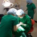 미주치과병원 이미지