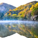세량제 이미지