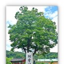 다농사거리버스정거장 옆 | 2026년 민족문화유산을 찾아서 - 충북 청주 송상현 충렬사 1부