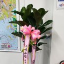 HK공인중개사사무소 이미지