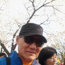 여의도 윤중로 벚꽃축제(2015.4.11) 후기 사진 이미지