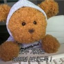 와니유니 | [2025] 1월 다이어리📝