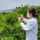 제주특별자치도 농업기술원 이미지