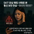 SKT 유심 사태로 본 통신 보안 현실… 당신의 대안은?