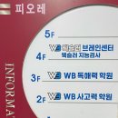 [WB 웩슬러 브레인센터 지능검사 후기] 우리 아이의 학습 방향을 찾다
