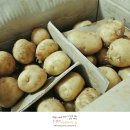 팔봉산영농조합법인 이미지