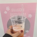 카페엠디디