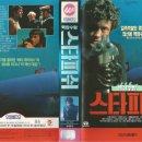 (주)스타피쉬 이미지